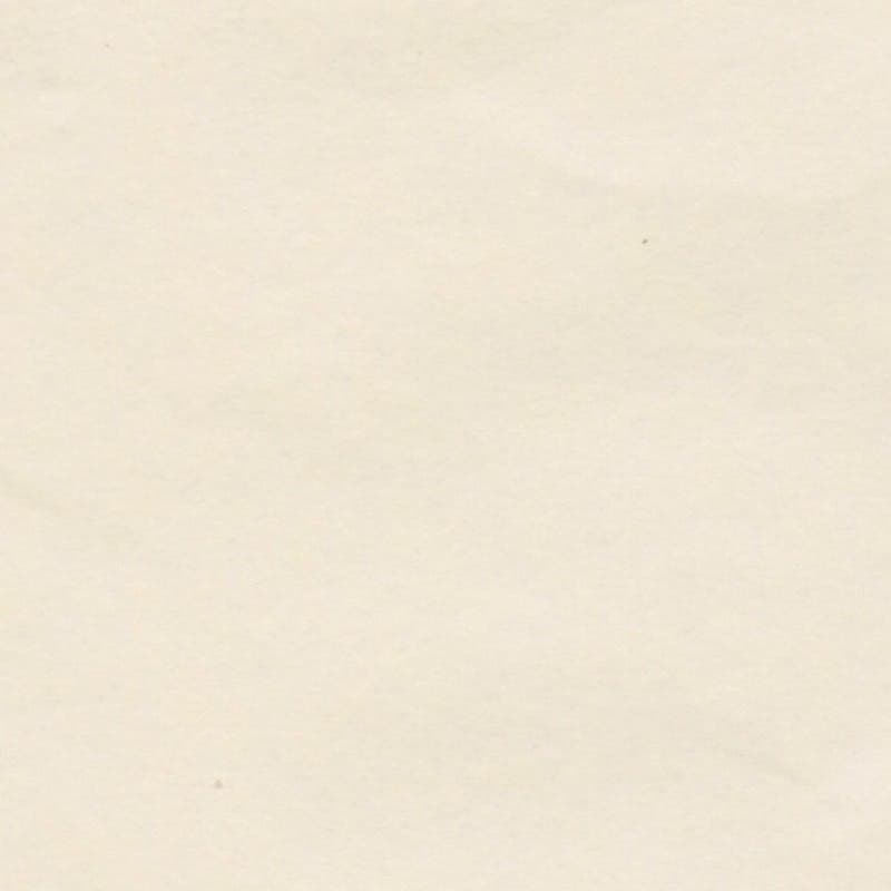 Japanisches Seidenpapier FSC 50x76 cm 24 Blatt - hell Baby gelb image