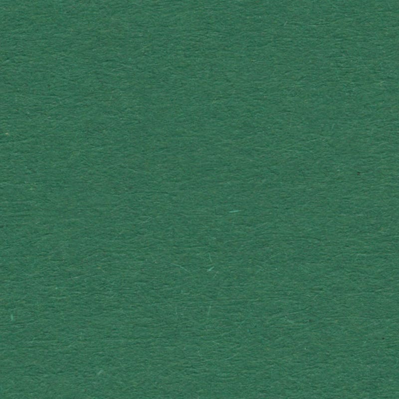 Englischer Karton 280g/m² gefaltet 50x65 cm - dunkelgrün image