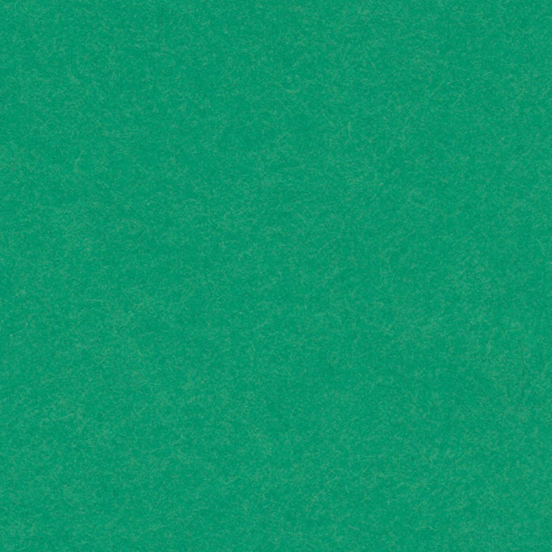 Englischer Karton 280g/m² gefaltet 50x65 cm - grün image