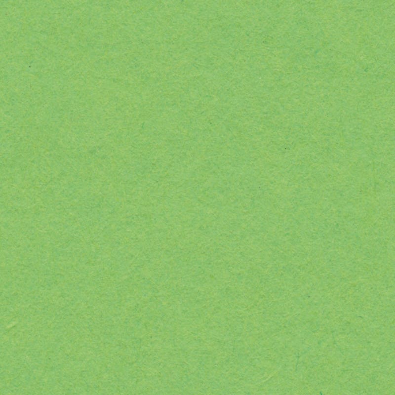 Englischer Karton 280g/m² gefaltet 50x65 cm - hellgrün image