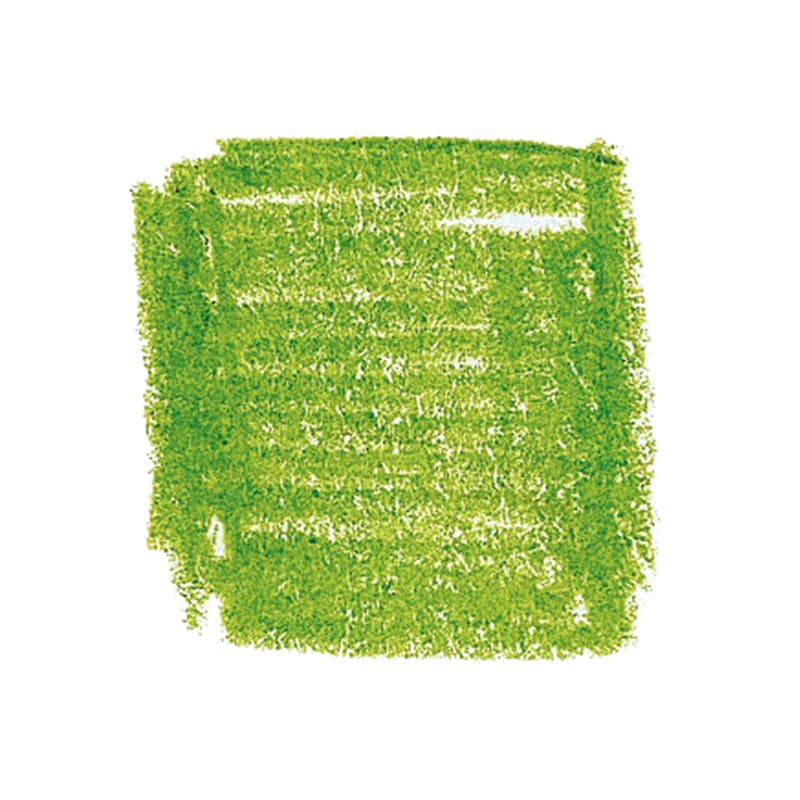 Lyra Rembrandt Polycolor - maigrün - Verpackung mit 12 Stück image