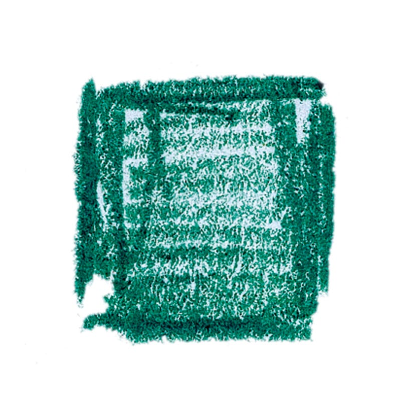 Lyra Rembrandt Aquarellstifte - saftgrün - Verpackung mit 12 Stück image