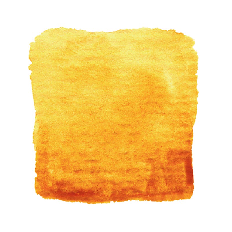 Artemis Pflanzen Aquarellfarben 50 ml - kamala orange image