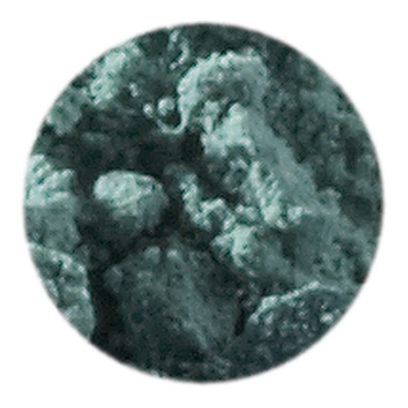 Artemis Pflanzenfarb-Pigment 10 ml - blattgrün image