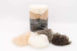 Filges Märchenwolle pflanzengefärbt Naturfarbe - 4 Farben 50 g