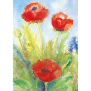 Postkarten M.v.Zeyl - Klatschmohn