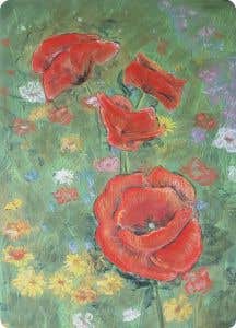 Postkarten Kapitein Kalk - Mohnblumen - 5 Stück
